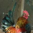 호 계 로 이미지