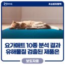 에스엠피㈜ | 요가매트에서 발암물질이 검출됐다고? 인기 제품 10종 비교분석결과