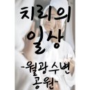 수밭골 웰빙음식거리 | 산책하기 좋은공원, 달서구 산책하기좋은공원, 도원구 산책하기 좋은 공원, 도원지, 수밭골, 웰빙음식거리