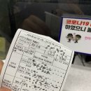 오산경찰서 종합민원실 | 운전면허증 갱신 서울광진경찰서 종합민원실에서 가능/신청 후기 (feat. 과태료와 함께)
