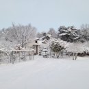 새솔농장 네이버블로그