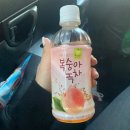 시코르엘에프 | 꽤 오래전 근황 [1월]