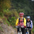 남한강 자전거도로 이미지