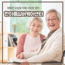 세종타운 이미지