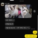 밝은 미소를 짓지 않아도 사랑할 이유가 많단다