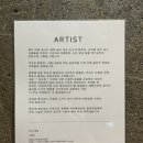 까사디차차 이미지