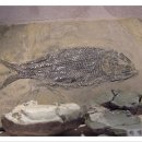 수곡농장 이미지