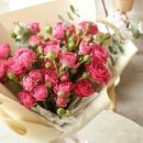 데이지데이 이미지