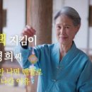 고택 수련 이미지