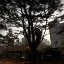 상장회사회관 이미지