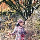 분당야탑3-A-6 이미지