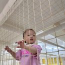 세린어린이집 | 점핑파크 하안 광명 키즈카페 방문후기(울꽁쥬단골키카👧🏻)