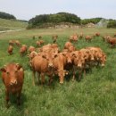 강원특별자치도축산기술연구소 이미지