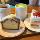 강화통통생고기 성산동점 이미지