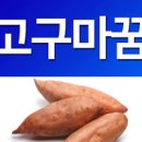 고구마꿈 9가지 해몽 이미지