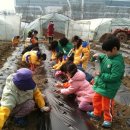 사랑의열매어린이집 이미지