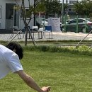 댕댕이 보호구역 이미지