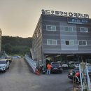 월드오토밋션 이미지