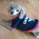 천동초등학교 후문 이미지