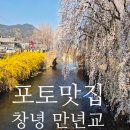 만년교식당 | 수양벚꽃 명소_창녕 영산 연지못, 만년교 꽃구경