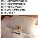 만월푸드