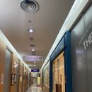 스타일미여성의원 이미지