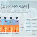 코호한의원 이미지