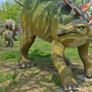 엑스포주차장 이미지