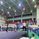 팀코어복싱짐 이미지