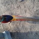 함열 농장 이미지