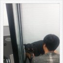 샤워하개 이미지