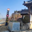 지보참우마을 영농조합법인 이미지