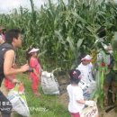 노승산 우무실 마을 이미지