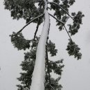 무안비치호텔 이미지