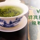 세계 10대 슈퍼 푸드(Super food) 이미지