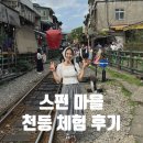 초록날개 | [공지] 대만 여행 스펀광장 천등 색상의미 가격 포토존 닭날개볶음밥