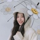 하이펙 주식회사 이미지