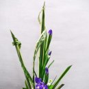 꽃꽂이 초.중급 이미지