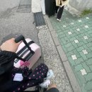 뽀꼬지비 | 상하이 로맨스