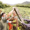 용촌마을 이미지