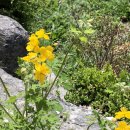 가방배수펌프장 이미지