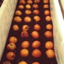 주영농장 이미지