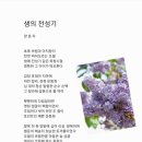 생의 전성기 이미지