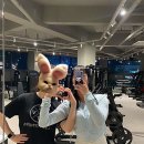 라이브 휘트니스 이미지