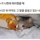 시간과타자 이미지