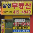 삼성공인중개사사무소 | 잠실부동산 삼성공인중개사사무소 현실적인 조언