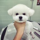 어서왈왈 이미지