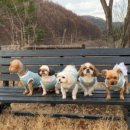 코나펜션 이미지