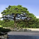 산애가펜션 이미지