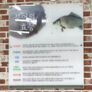 NR-26[번영로]-상-26 | 산본역 점심 청국장이 맛있는 정연성의 탕앤찜